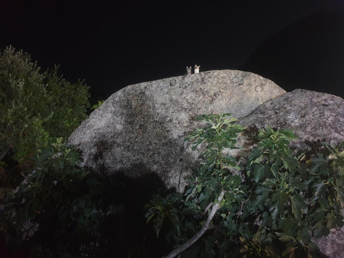 B&B Tiscali Dorgali Εξωτερικό φωτογραφία