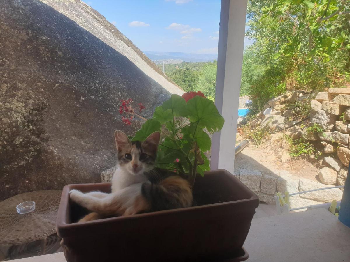 B&B Tiscali Dorgali Εξωτερικό φωτογραφία